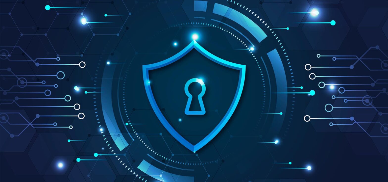 What is a Data Security Platform?